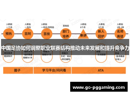 中国足协如何调整职业联赛结构推动未来发展和提升竞争力