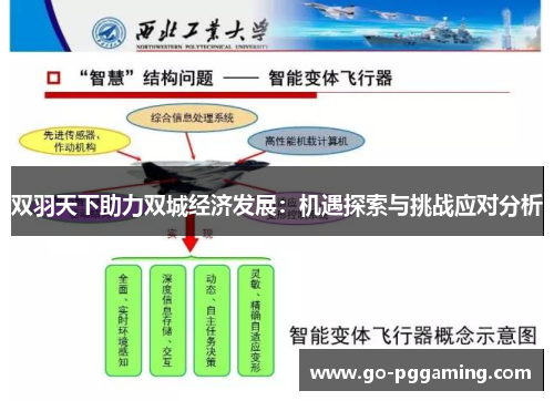双羽天下助力双城经济发展：机遇探索与挑战应对分析