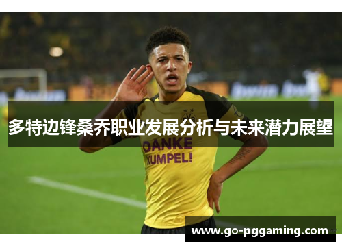 多特边锋桑乔职业发展分析与未来潜力展望