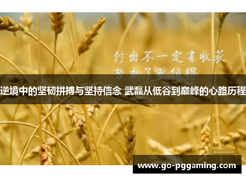 逆境中的坚韧拼搏与坚持信念 武磊从低谷到巅峰的心路历程