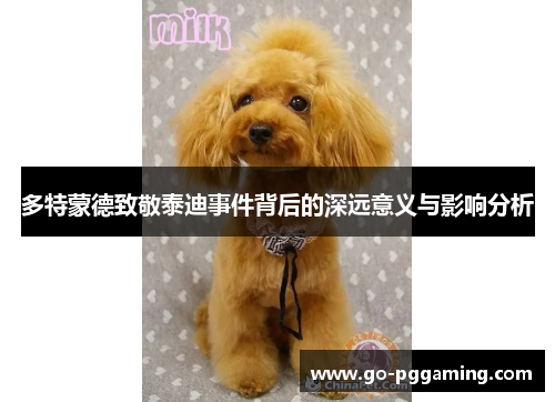 多特蒙德致敬泰迪事件背后的深远意义与影响分析