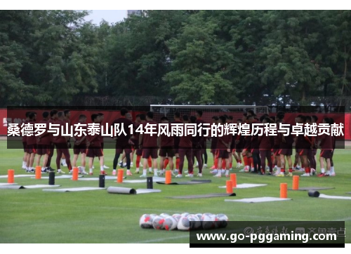 桑德罗与山东泰山队14年风雨同行的辉煌历程与卓越贡献
