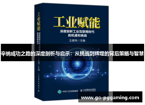 辛纳成功之路的深度剖析与启示：从挑战到辉煌的背后策略与智慧