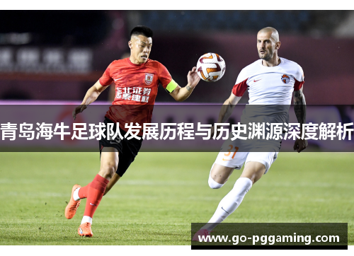 青岛海牛足球队发展历程与历史渊源深度解析