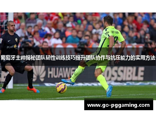 葡萄牙主帅揭秘团队韧性训练技巧提升团队协作与抗压能力的实用方法