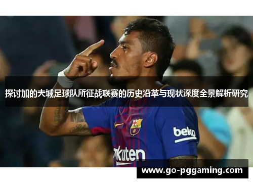探讨加的夫城足球队所征战联赛的历史沿革与现状深度全景解析研究
