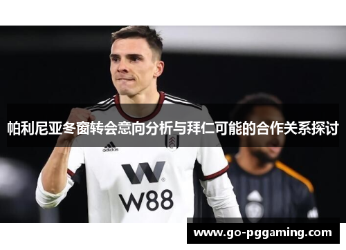 帕利尼亚冬窗转会意向分析与拜仁可能的合作关系探讨