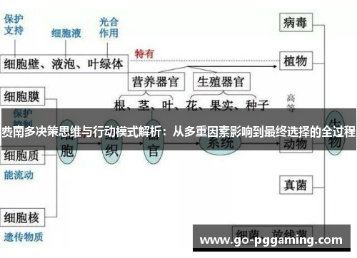 费南多决策思维与行动模式解析：从多重因素影响到最终选择的全过程
