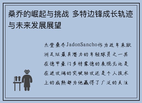 桑乔的崛起与挑战 多特边锋成长轨迹与未来发展展望